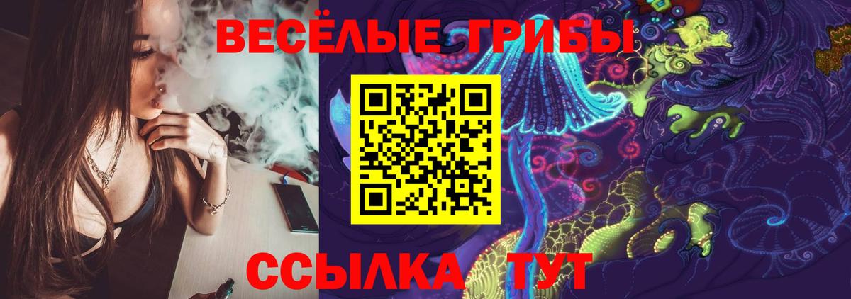 Родники  Псилоцибиновые грибы Psilocybe  Вход с VPN 