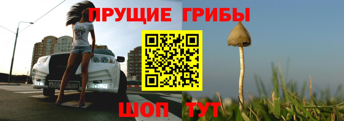 Галлюциногенные грибы мухоморы Родники